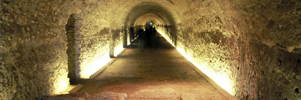 Microscopy at the Frontiers of Science 2013Tarragona, Spain, 17-20th september 2013