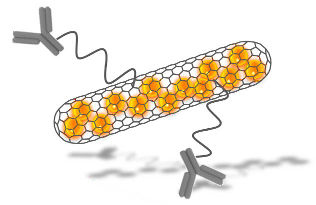 esquema nanotubos RADDEL